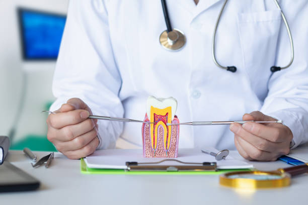 Best Pediatric Emergency Dentist in Folsom, CA